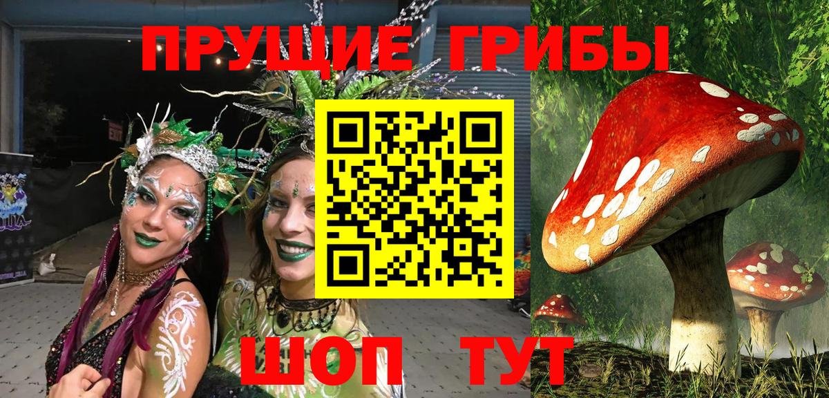 Галлюциногенные грибы MAGIC MUSHROOMS Большой Камень